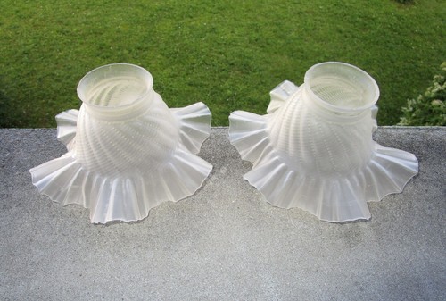 Deux belles tulipes - , anciennes